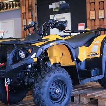 Квадроцикл ATV Leopard 500YS(2019)