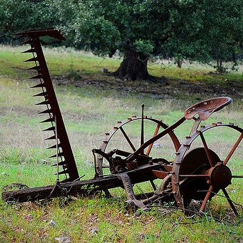 Vintage talu masinad