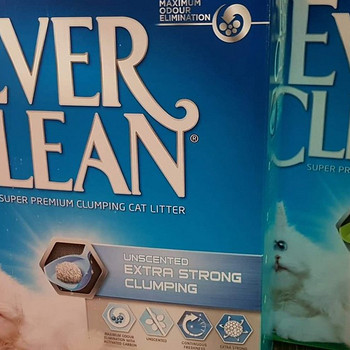 Paakuv eliitkassiliiv Ever Clean soodushinnaga