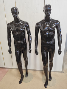 Mannekeenid (7 foto / 9)