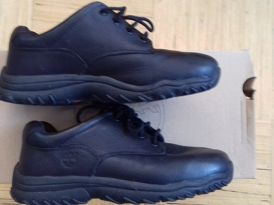 Timberland botased