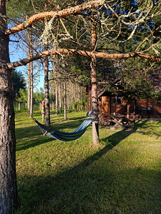 Kauksi, Alutaguse vald, Ida-Virumaa (14 foto / 20)